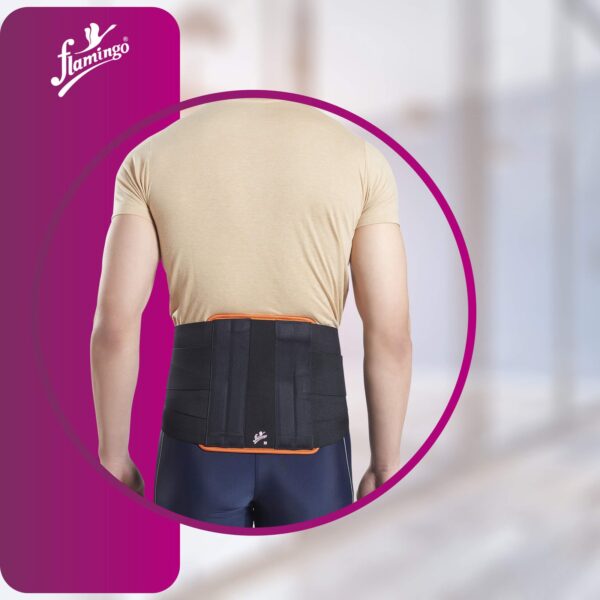 Contoured L.S. Belt