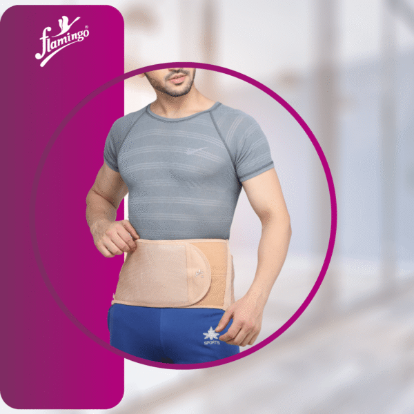 Back Comfort Belt