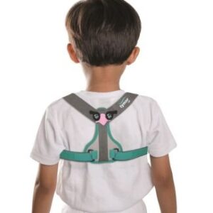 Back Support Belt